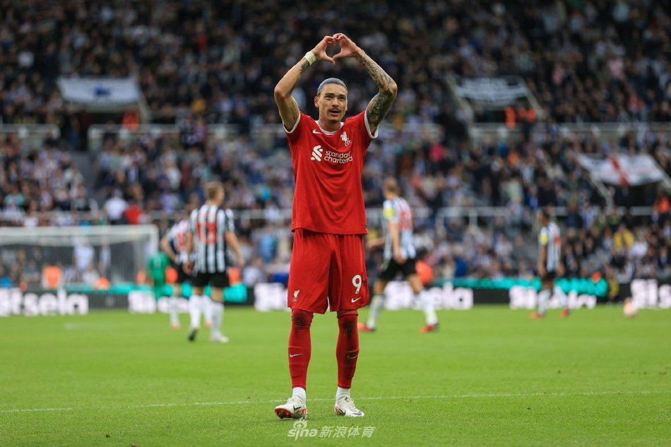 的艺术表现 的艺术表现